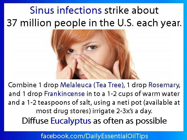 Sinus Infection... Colds... Allergies... YUK!!